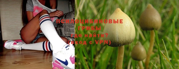 ГАЛЛЮЦИНОГЕННЫЕ ГРИБЫ Арсеньев