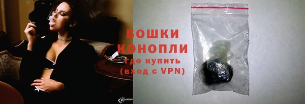 ГАЛЛЮЦИНОГЕННЫЕ ГРИБЫ Арсеньев