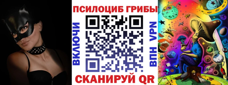 Псилоцибиновые грибы ЛСД где найти наркотики мега как войти Новосиль